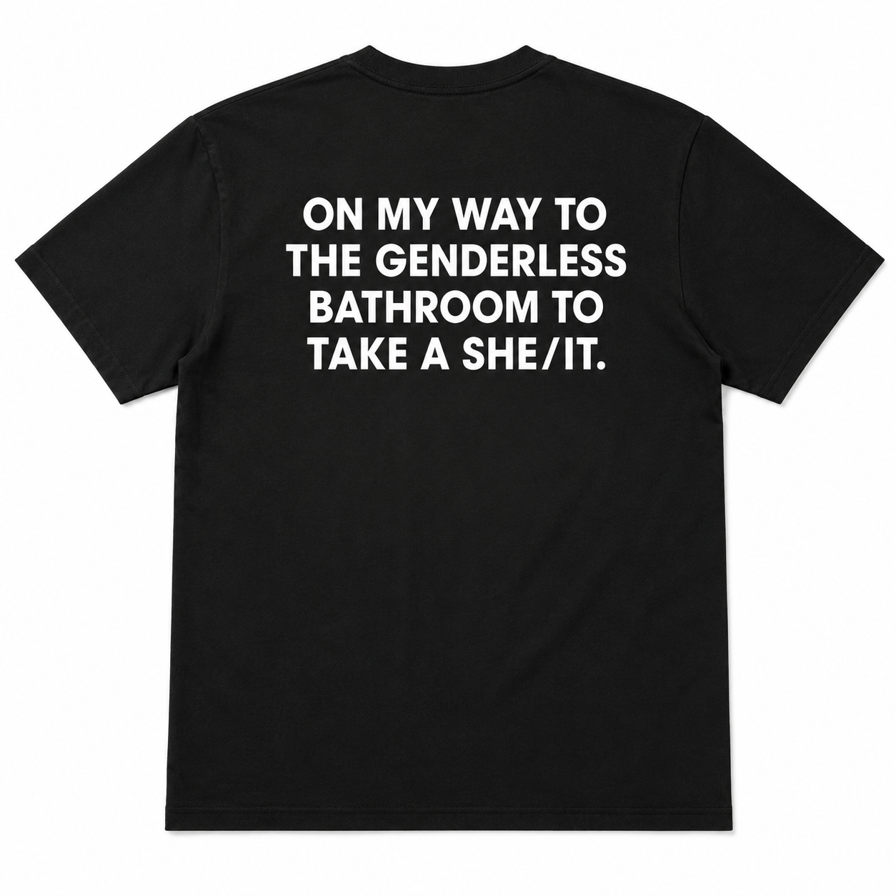 Viral “Take A She/It” Graphic Tee | Funny Genderless Bathroom Meme Shirt | Unisex Humor T-Shirt