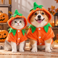 Hooded Pumpkin Pet Costume – Jack-O'-Lantern Halloween Outfit